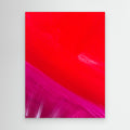 ILLUMINATION (2024) CANVAS PRINT   